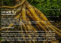 黄芪的功效与主治