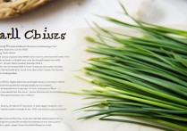 藠头怎么做好吃