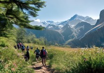 四川爬山旅游景点推荐，哪些适合新手且风景绝美？