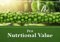 豌豆的营养价值