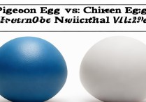 鸽子蛋和鸡蛋哪个营养价值更高