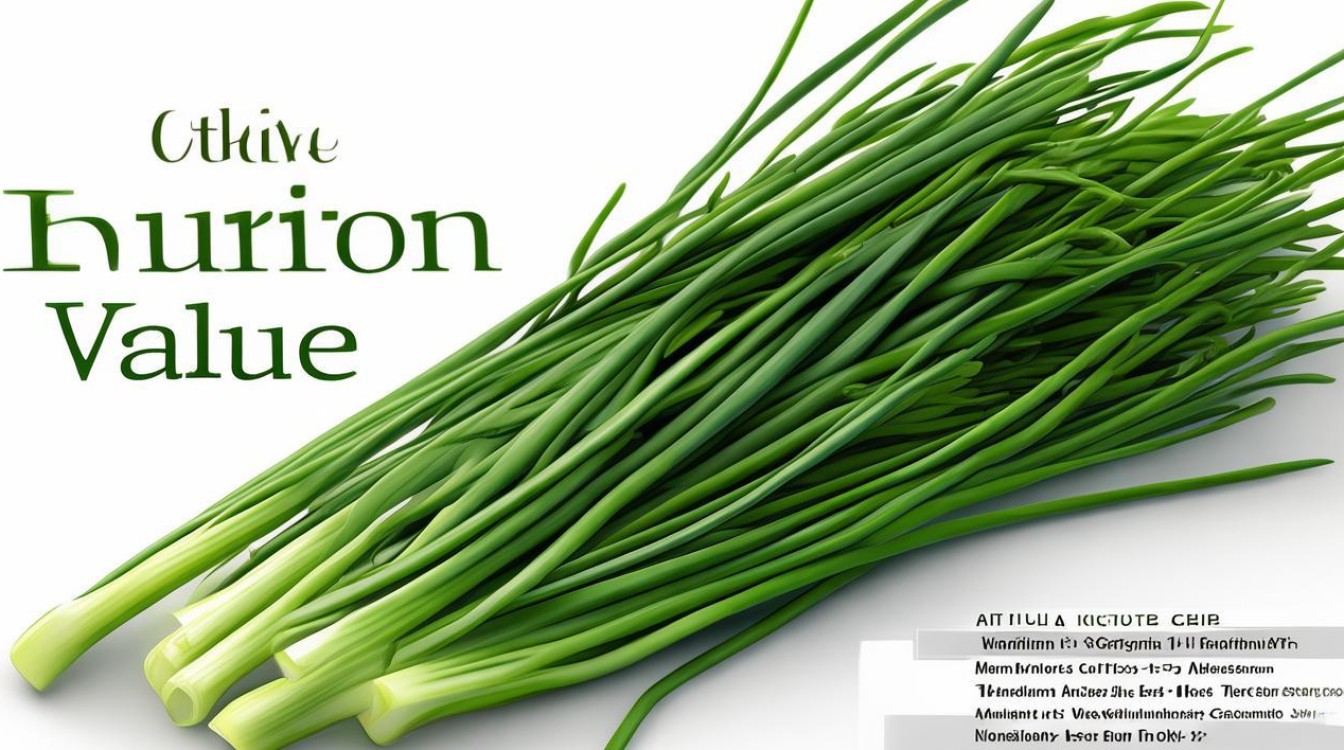韭菜的营养价值