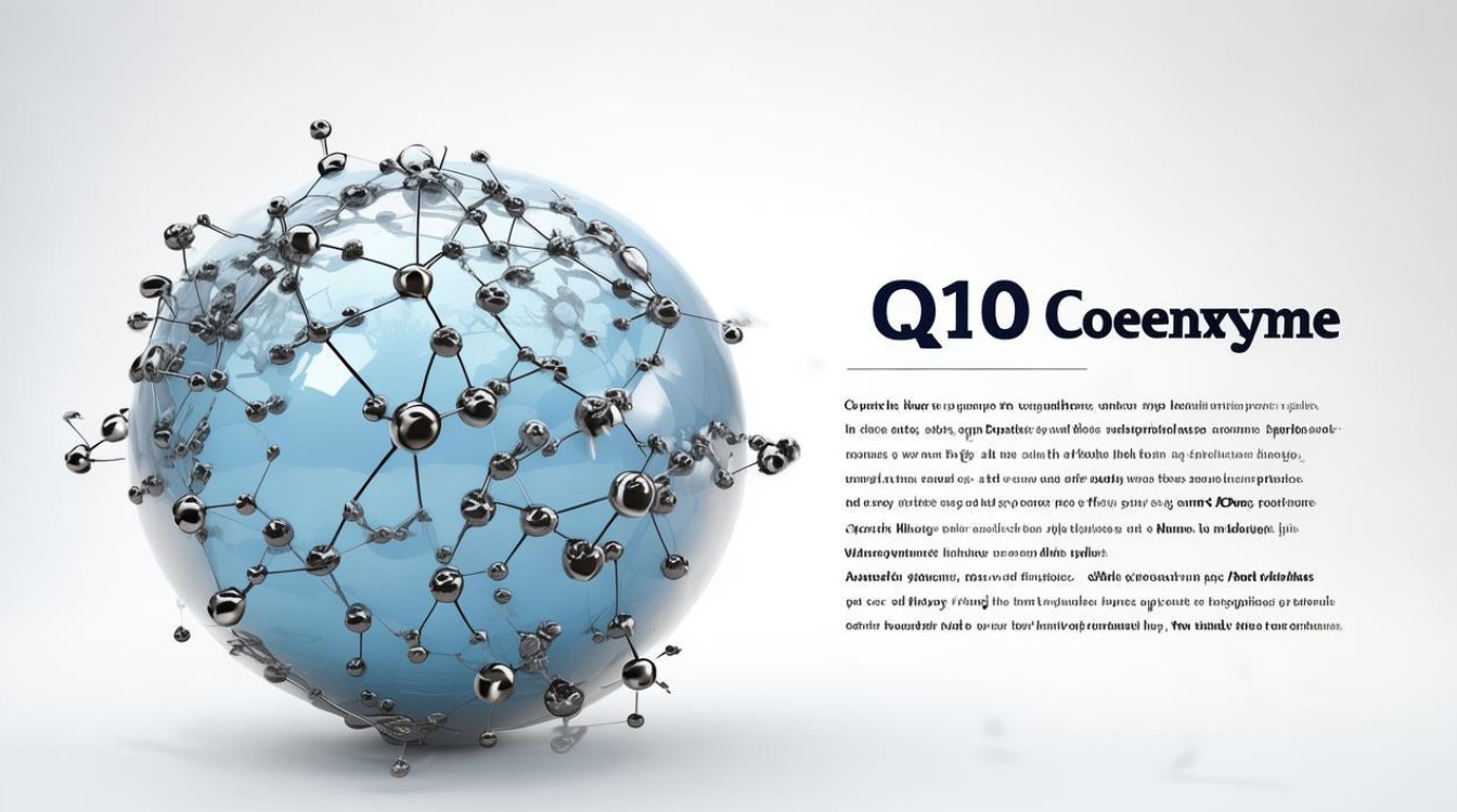 q10辅酶的功效和吃法