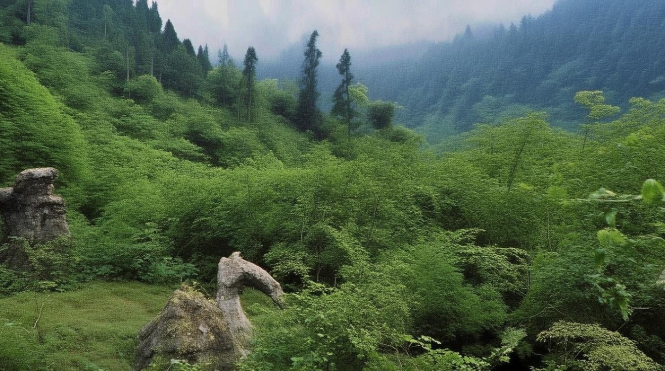 赣州红色景点有哪些