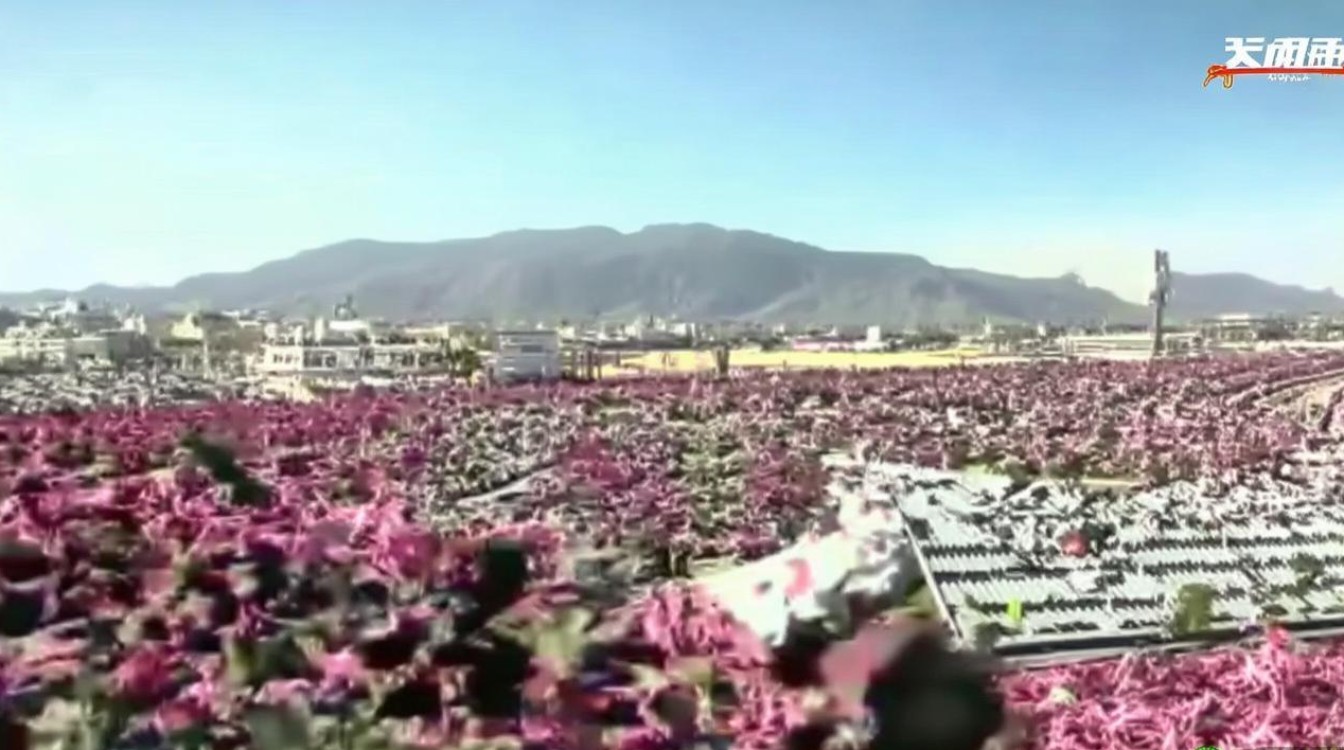 赣州必去的景点